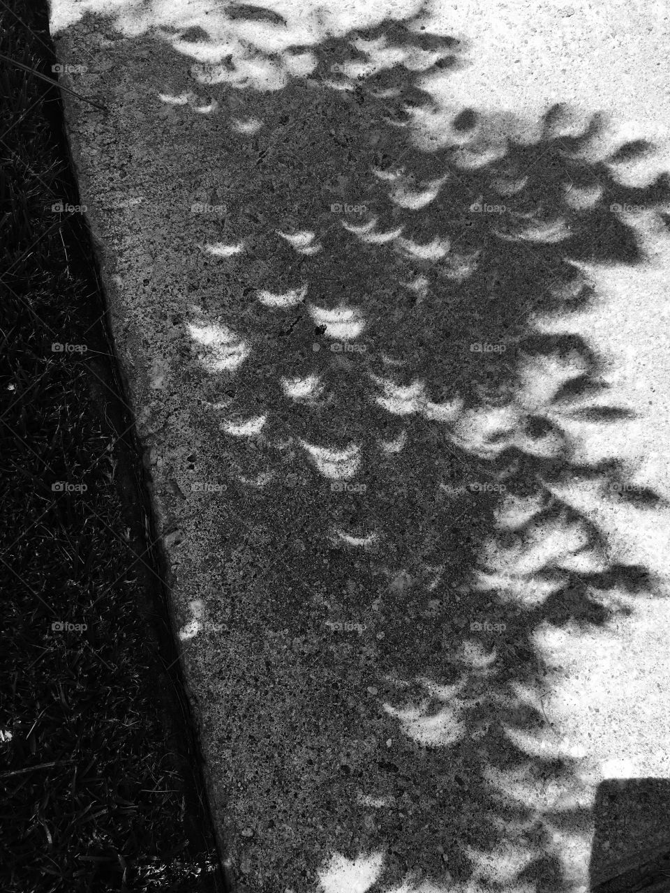 The solar eclipse playing with shadows.
