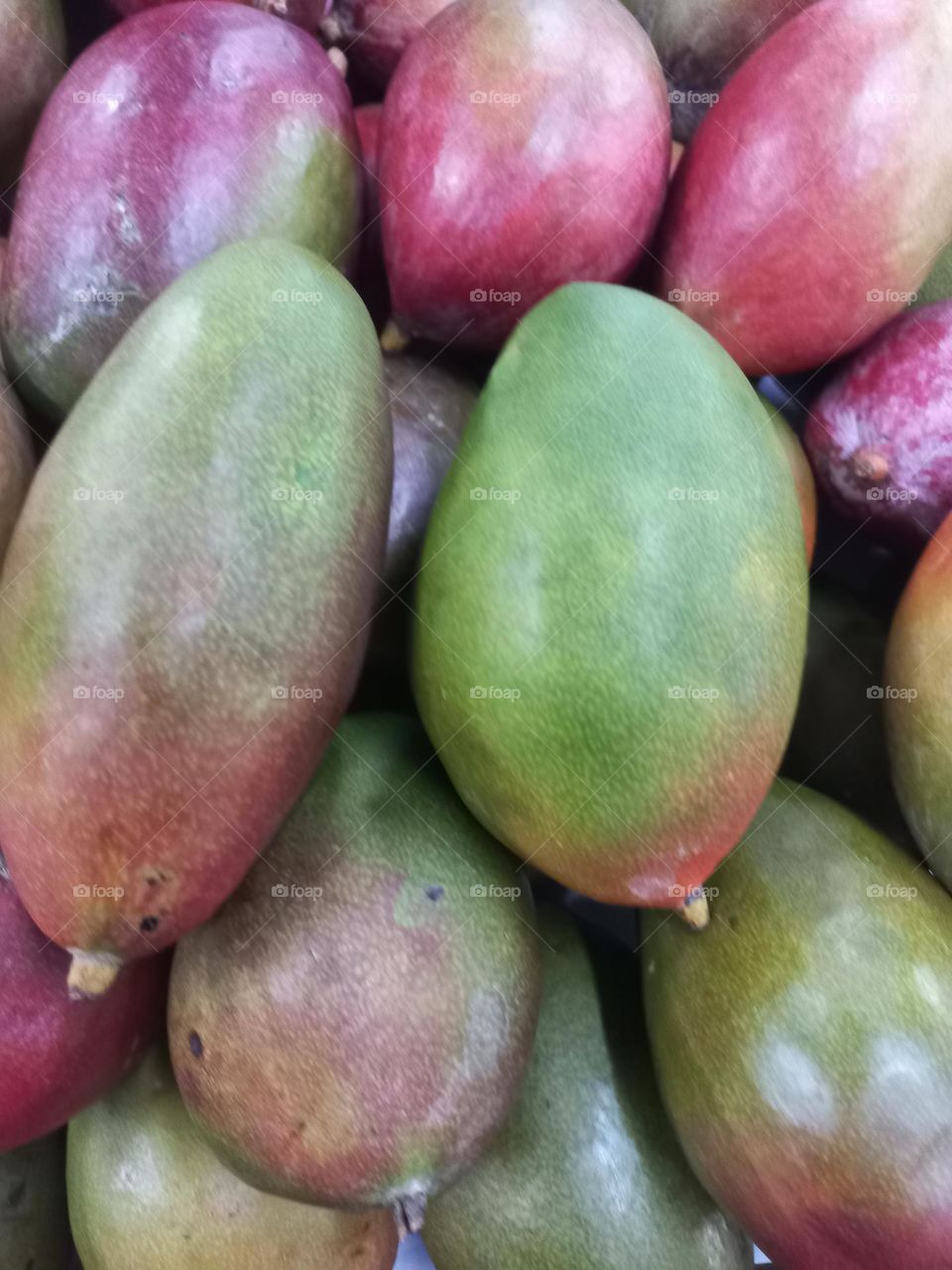 Manga Palmer , possui casca com coloração  avermelhada,  polpa amarelo e, tem um sabor  extremamente  doce.