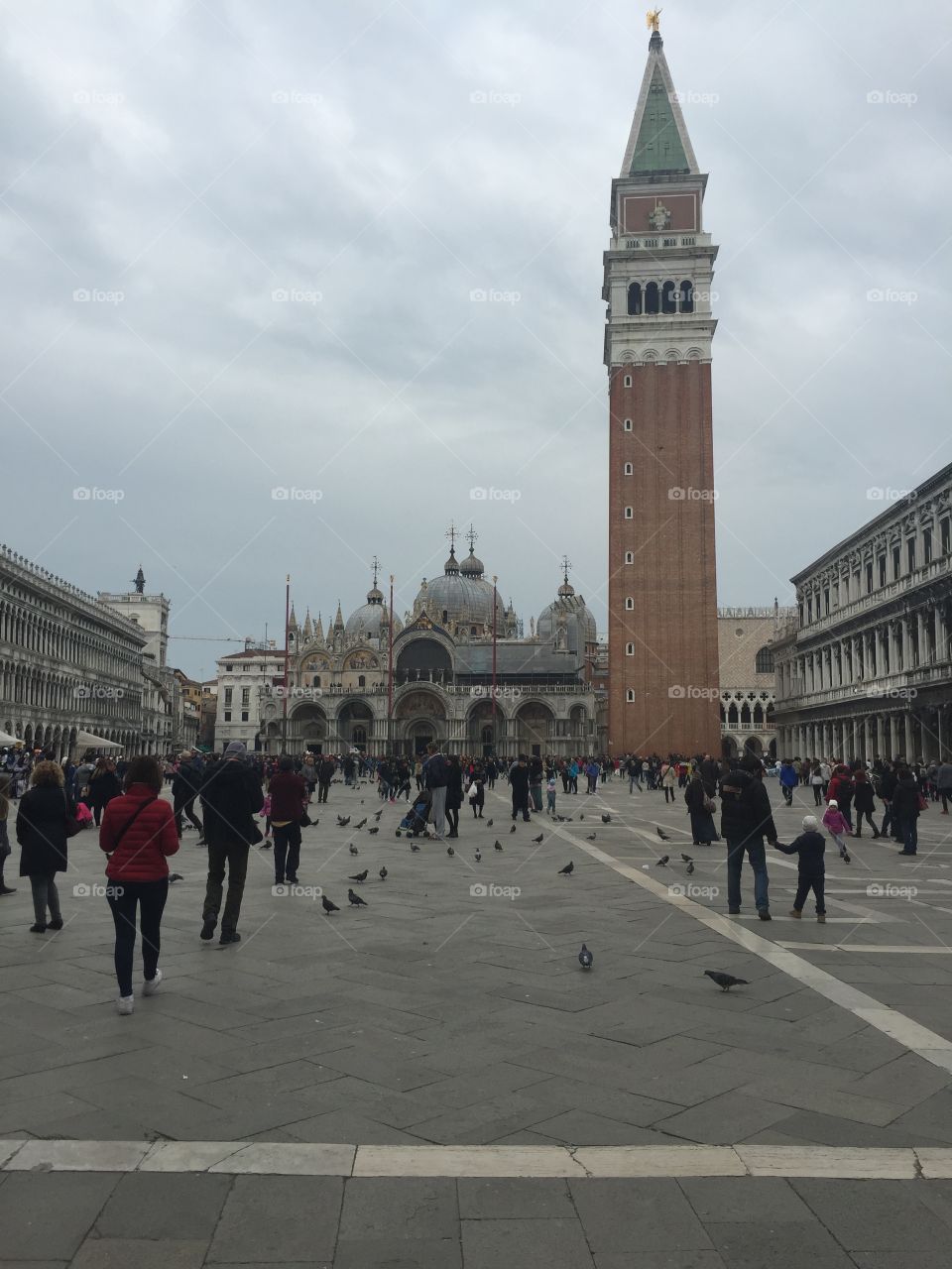 We have birds. Piazza San Marco. Venice, Italy