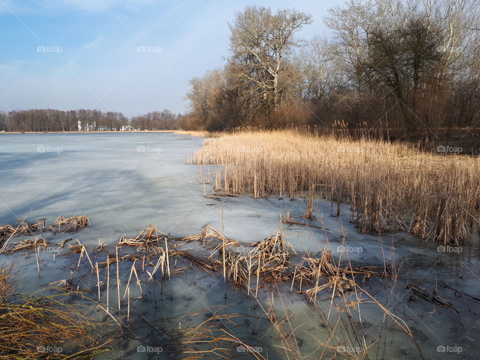 Frozen pond Poland