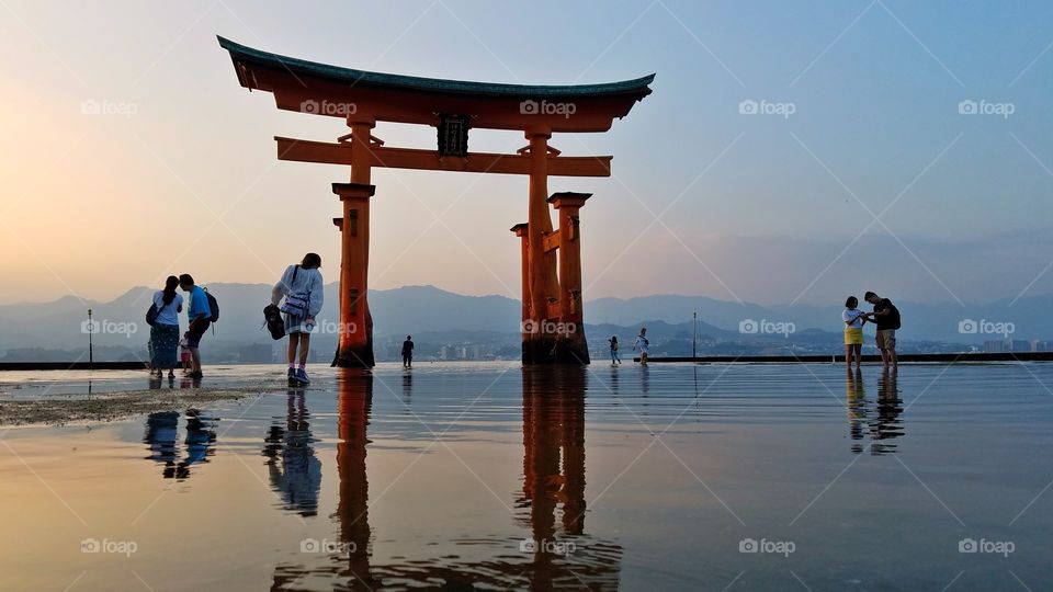 Miyajima floating gates