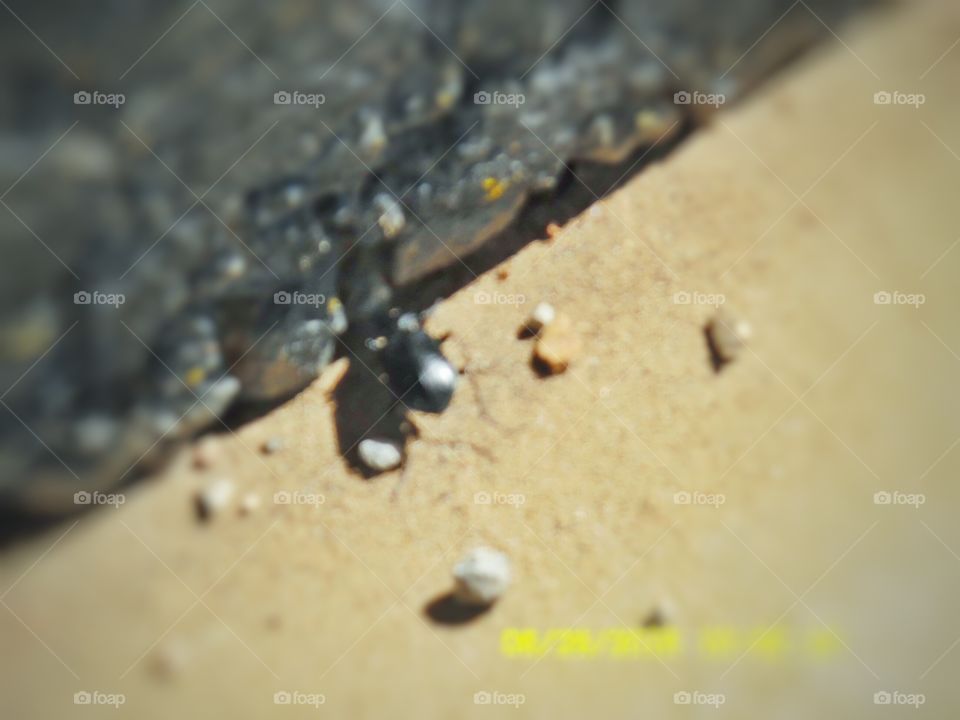 dead end 🔚. This is a picture of a bug 🐛 that I was chasing at the local car 🚗 wash this morning while I was out exploring