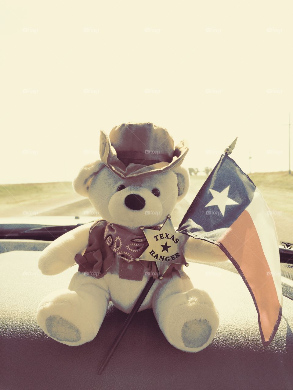 Tex the bear