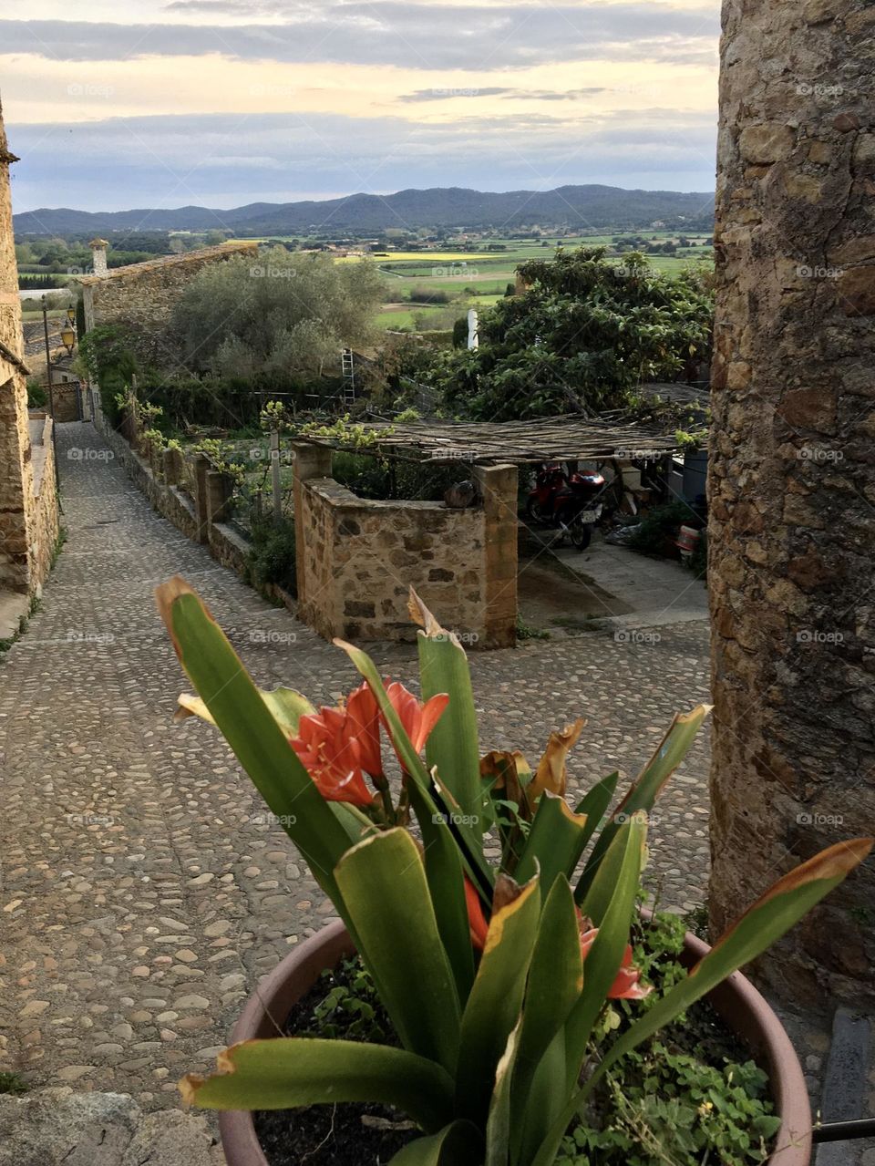 Clivia in historic village with view