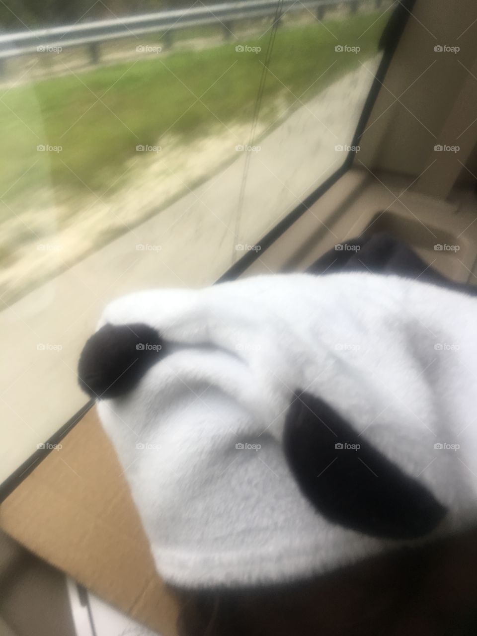 Panda blanket black and white cut adorable blanket 
