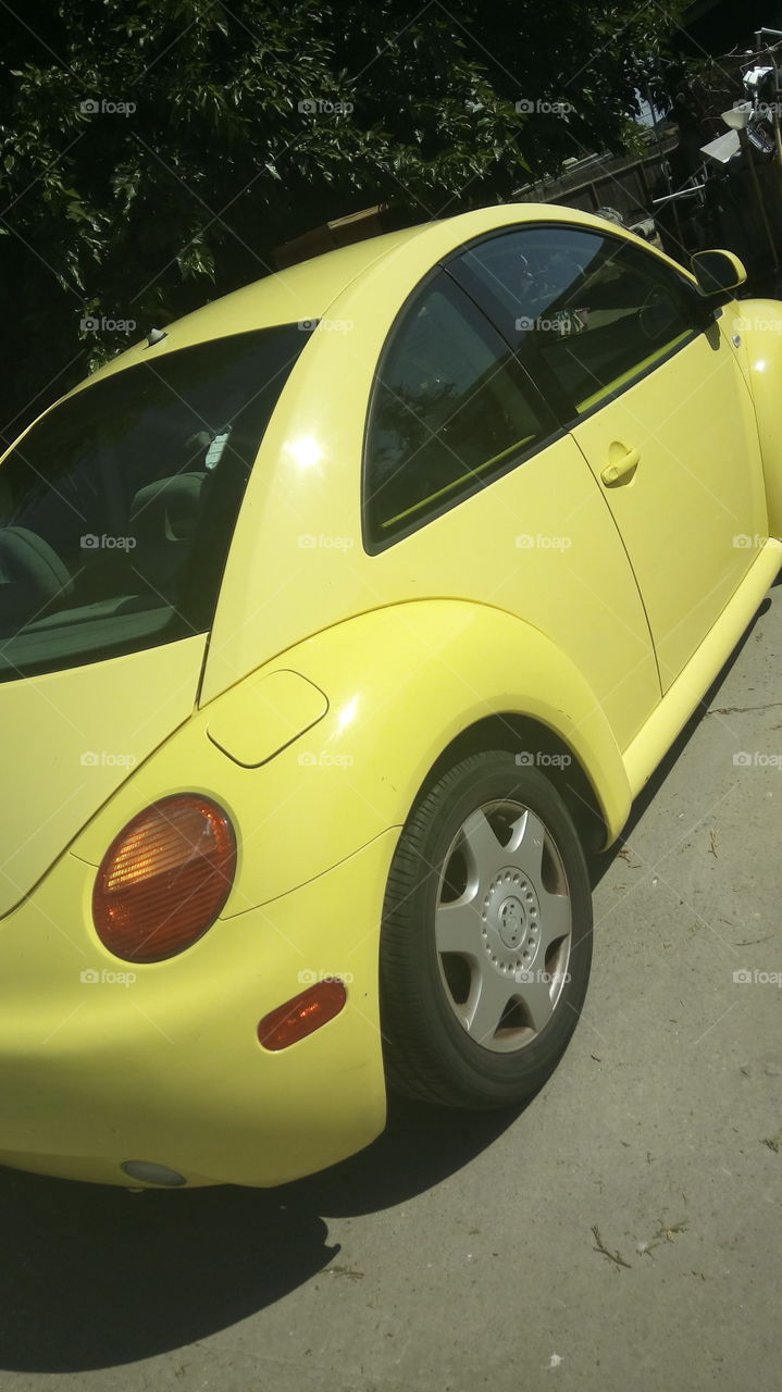 Yellow Bug time
