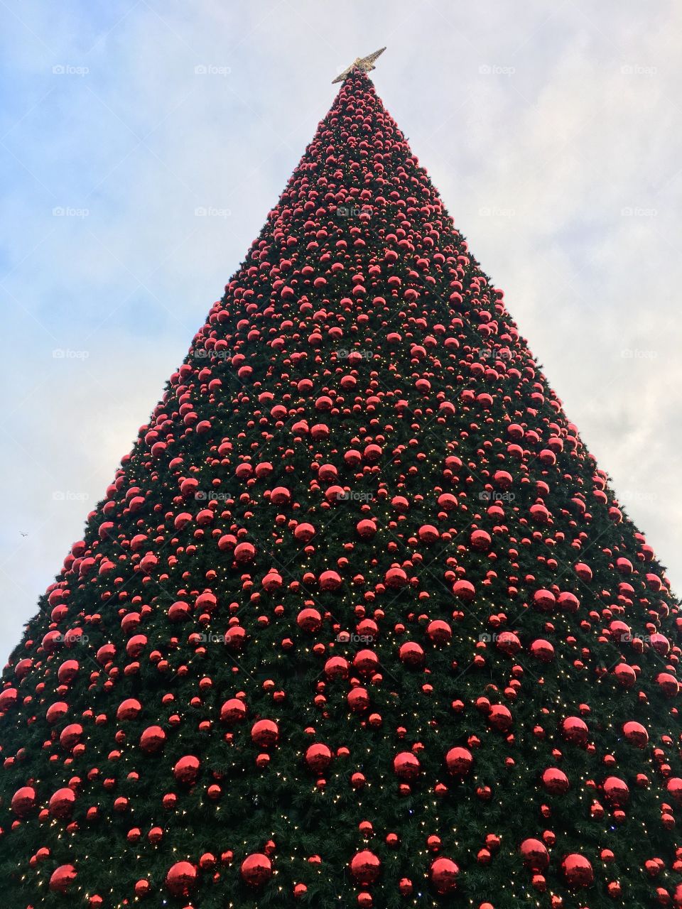 Giant Christmas tree 