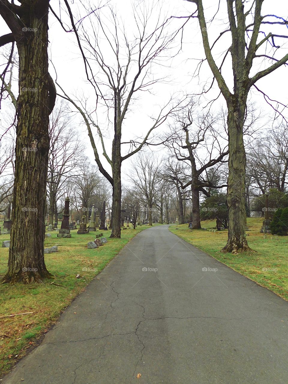 Mountain Grove Cemetery in Fairfield, CT