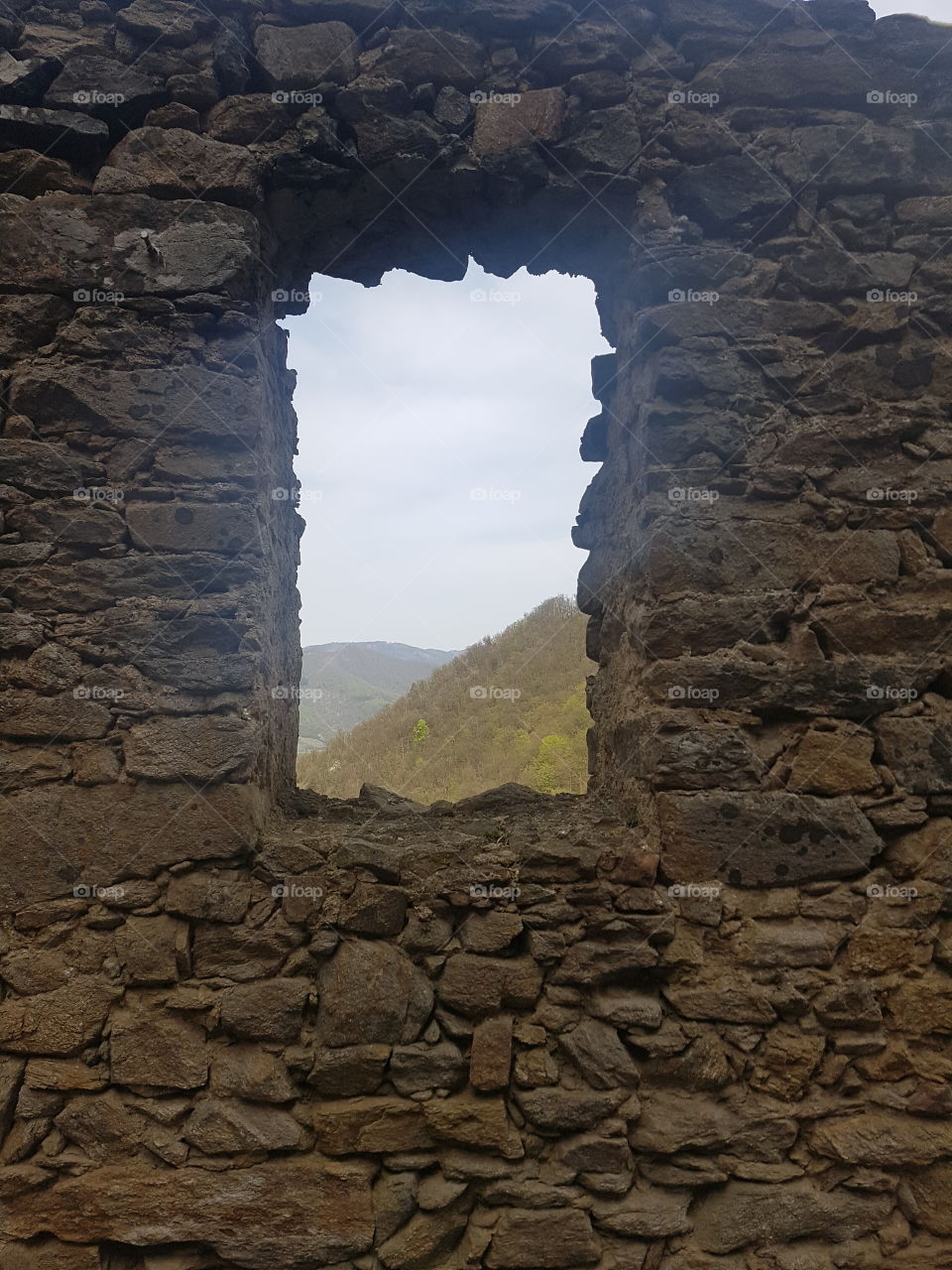 Castle Window