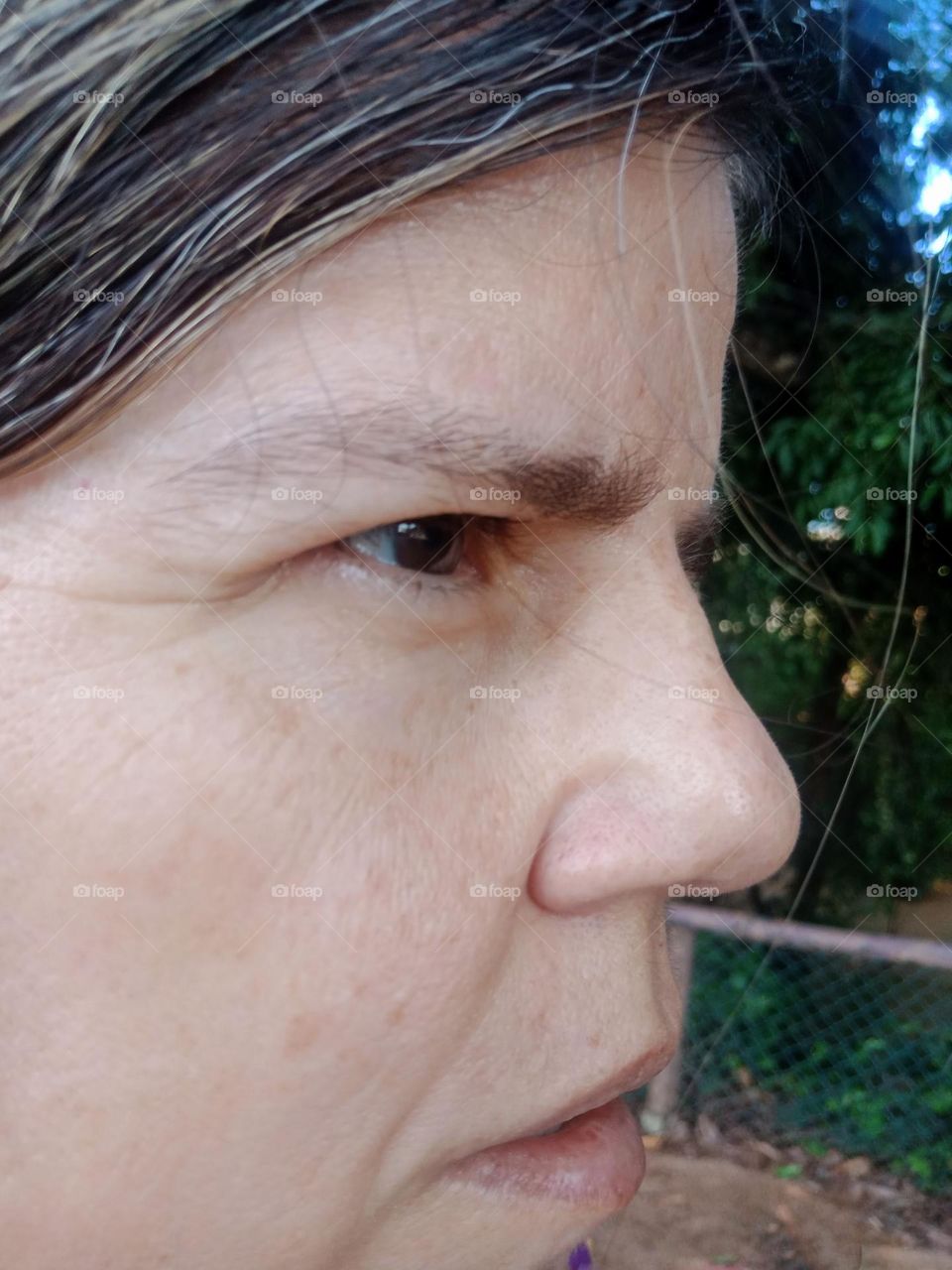 Face profile, mid age woman,  eye browns,  nose, close up photo