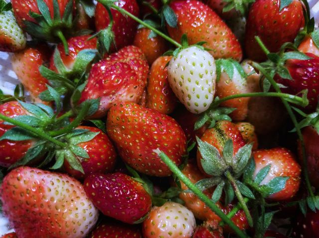 The first ripe strawberries.