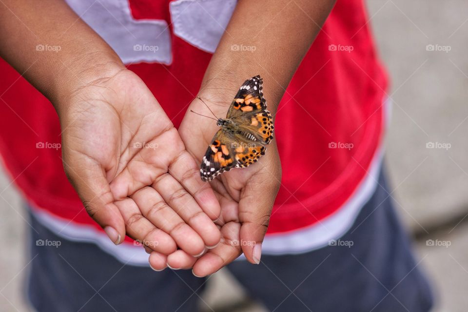 Little boy with a butterfly