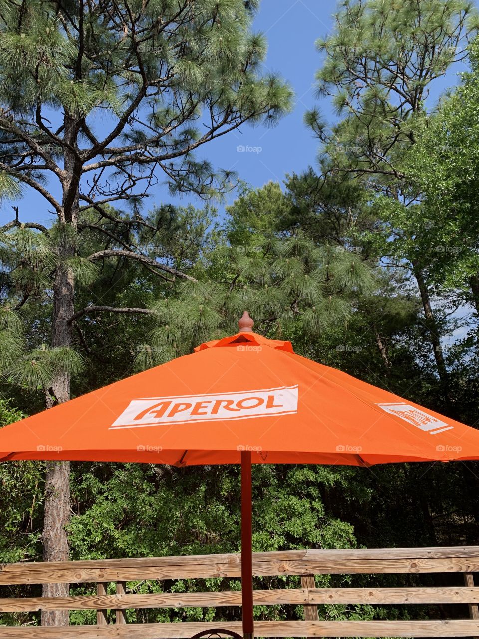 
U - Umbrella - my orange umbrella  on the deck - shade for protection against weather consisting of fabric stretched over hinged ribs radiating from a central pole