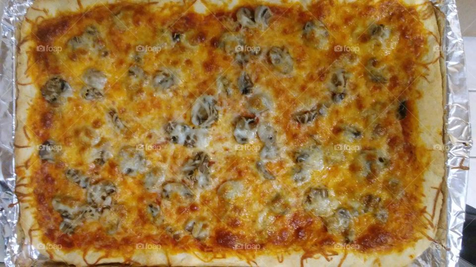 cheese and mushroom pizza
