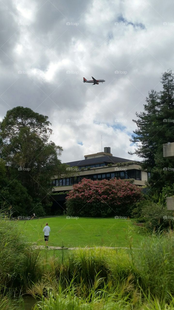 Flying over the garden