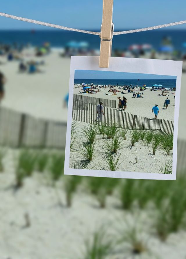 Picture Perfect Beach Day