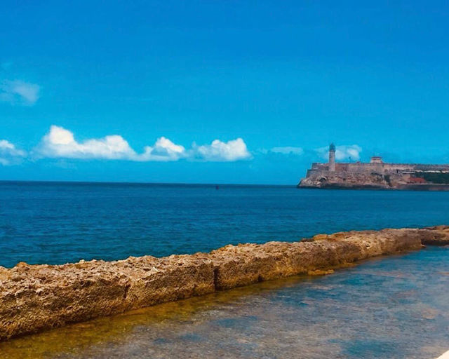 Sea views 