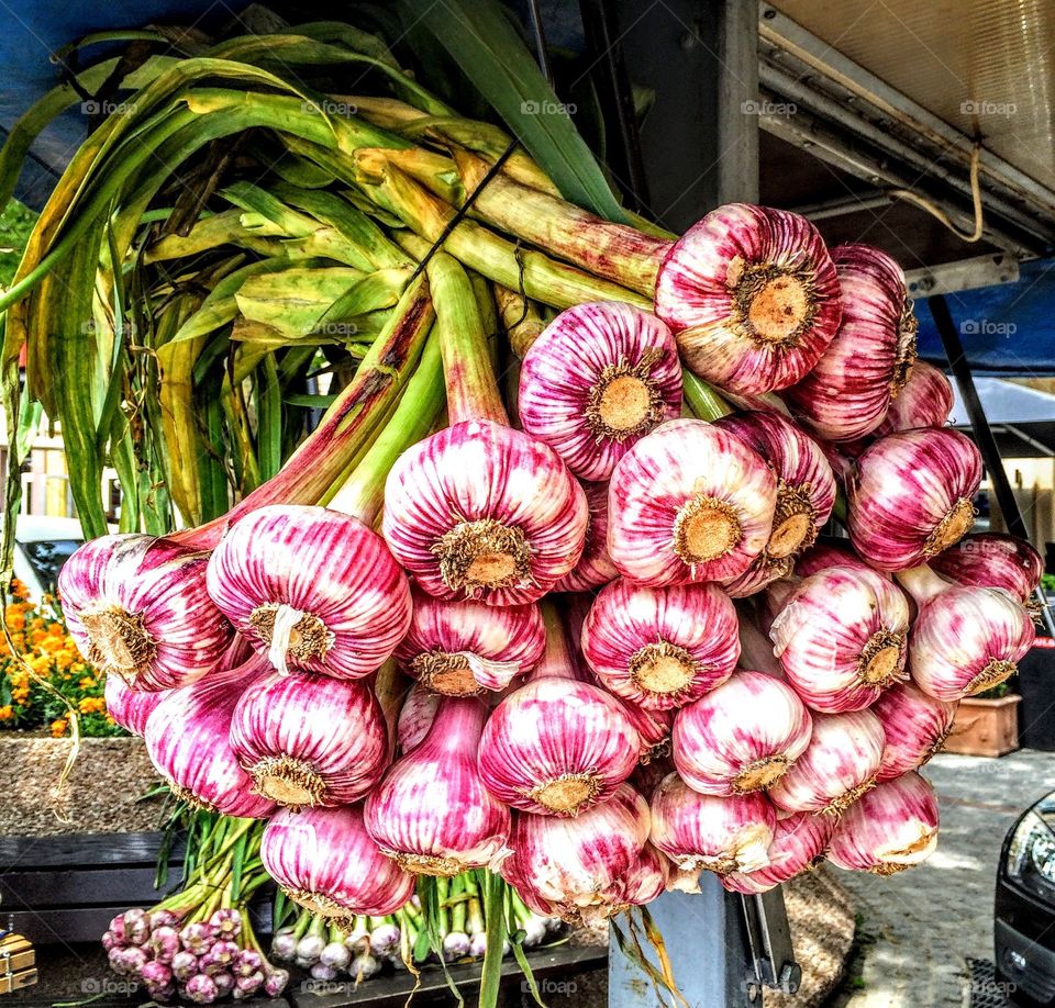 Garlic in market in Spain