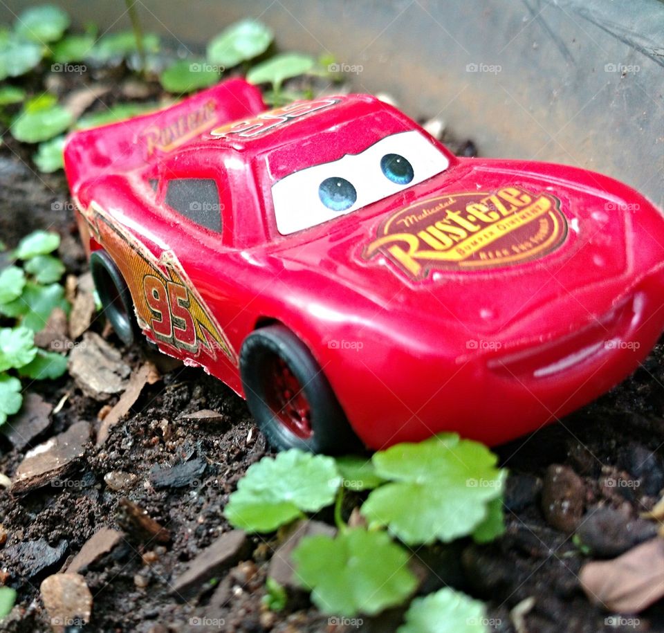 Lightning McQueen in the garden