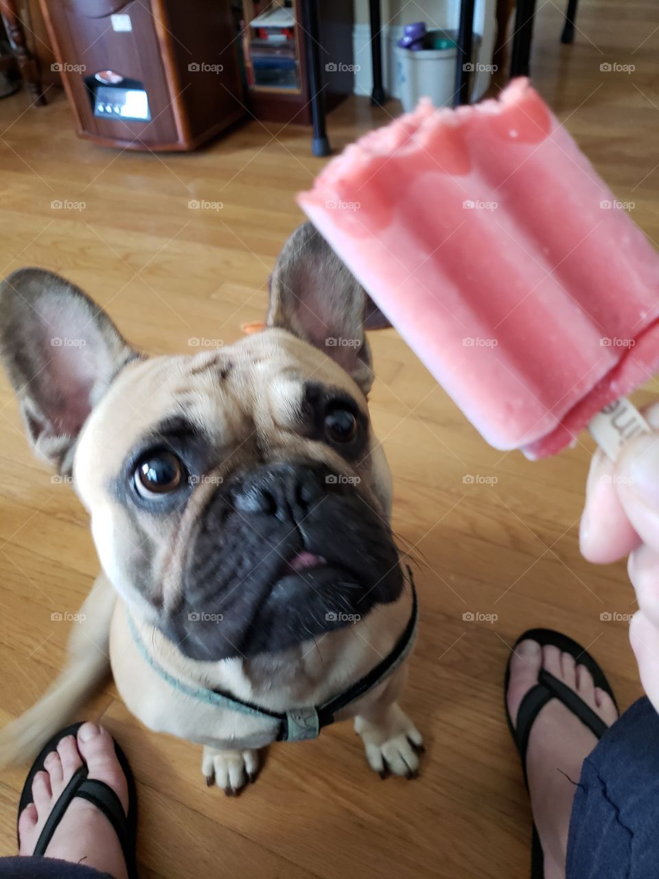 sorry, cant have this popsicle