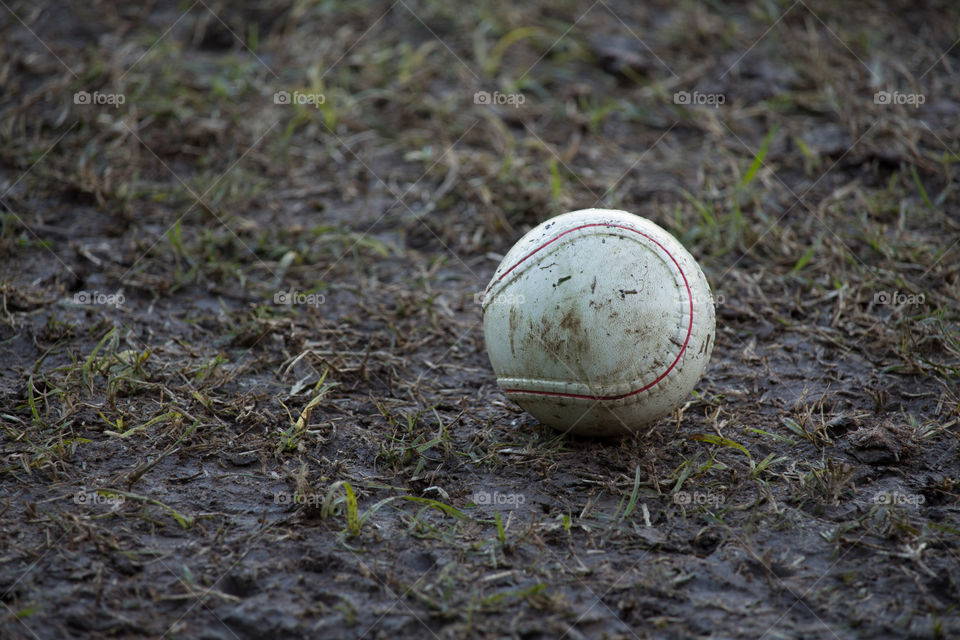 baseball ball