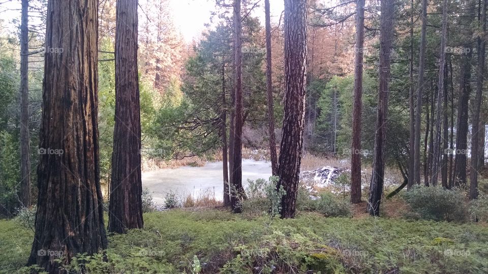 frozen mountain pond