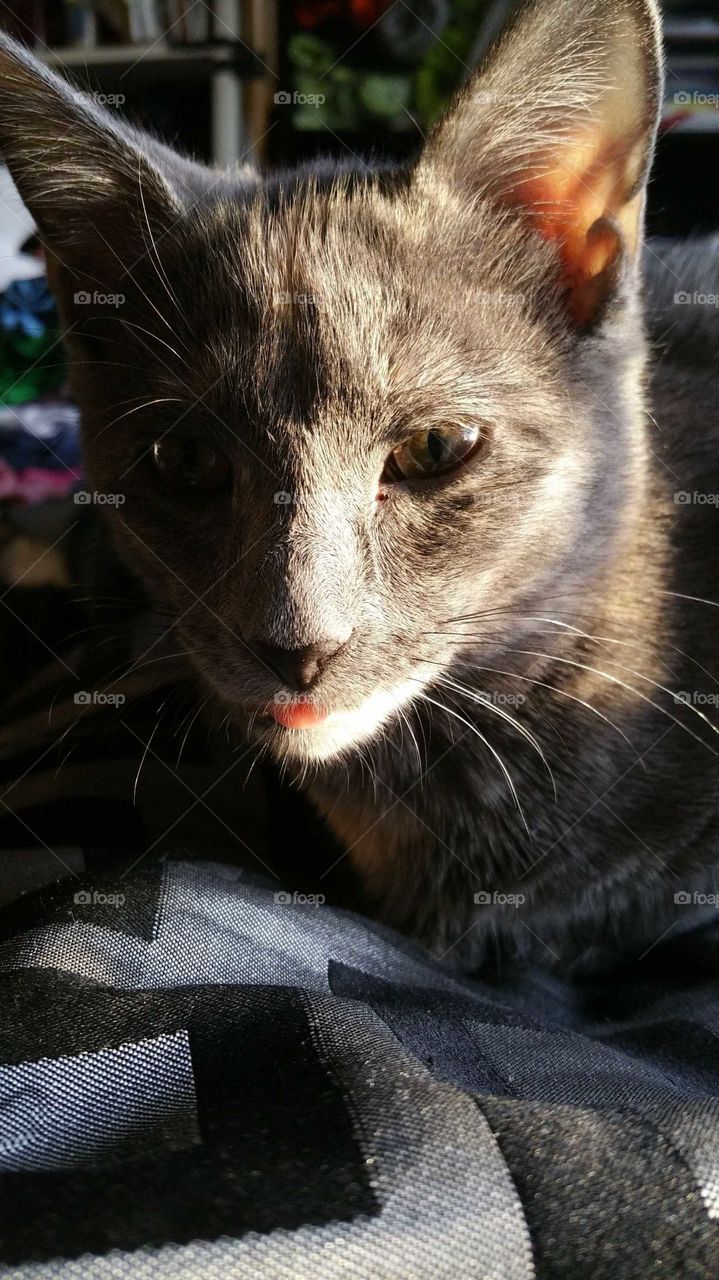 getting some sunshine