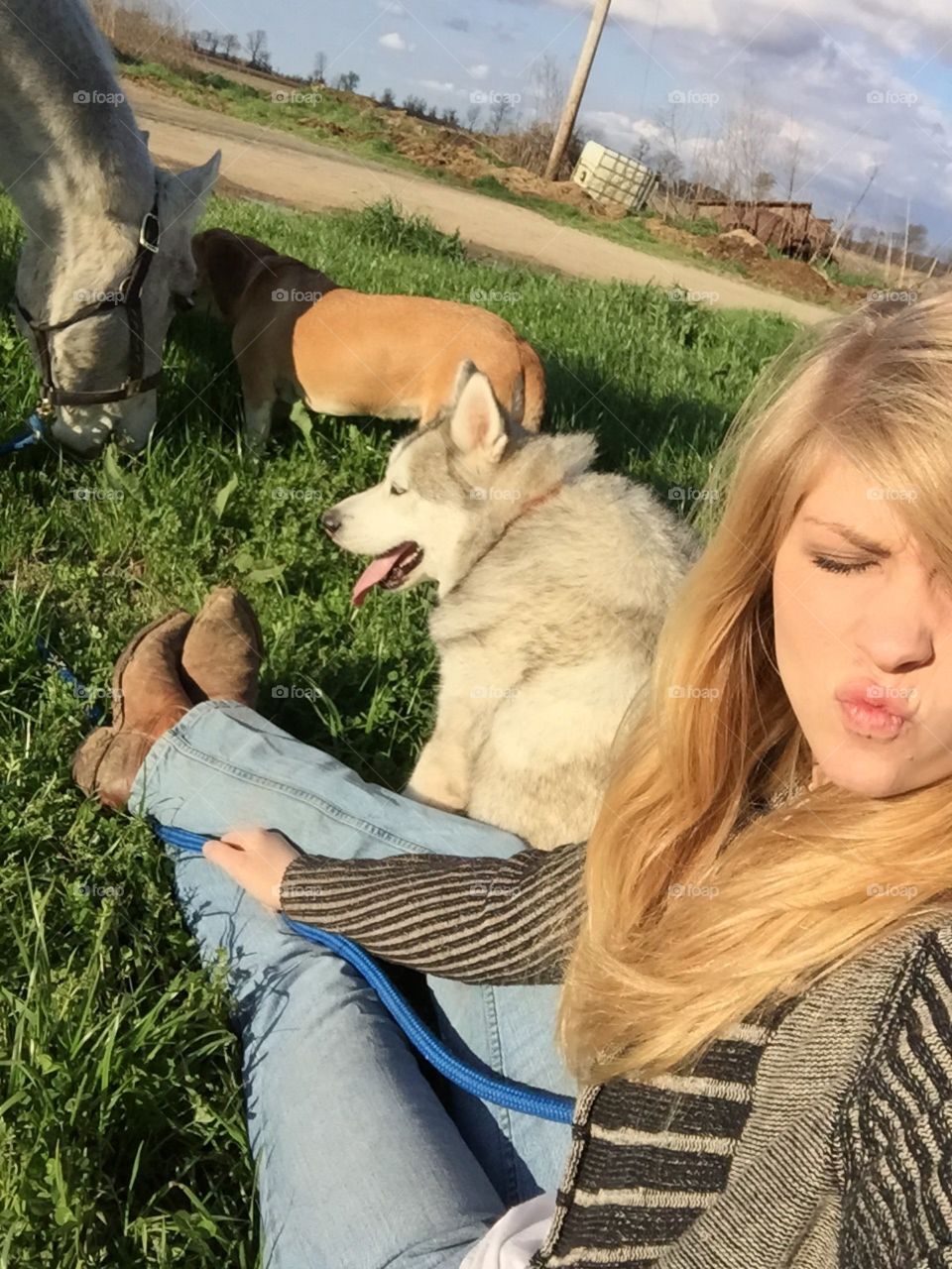 Blonde girl sitting in the grass with her horse and dogs 