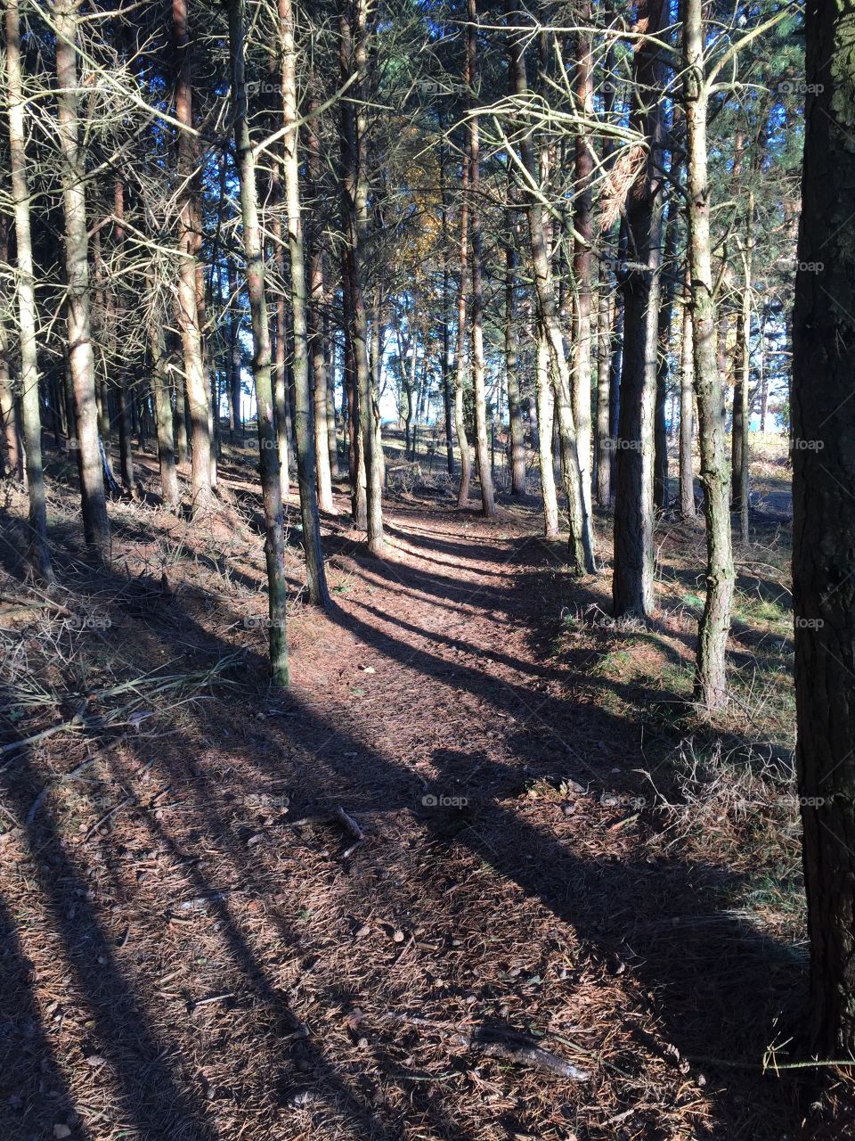 Möreleden near Kalmarsund Sweden 
