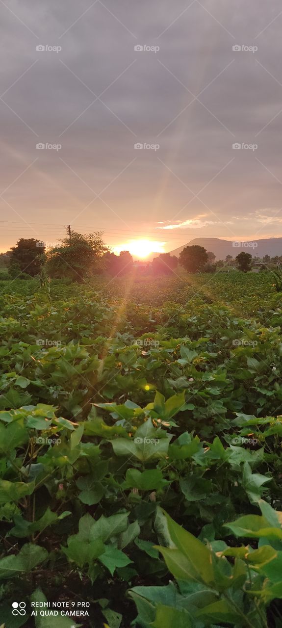 Thank you very much to God who sent us to this earth. Who has given us life, the giver of life. The great form of the sun