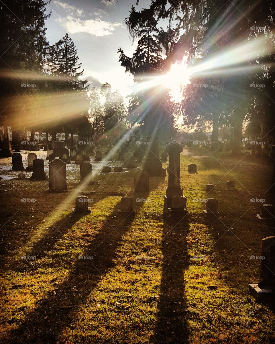 cemetery moss light