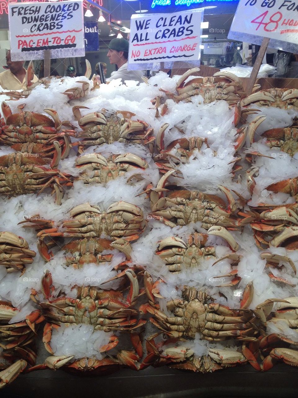 Rows of pacific crab