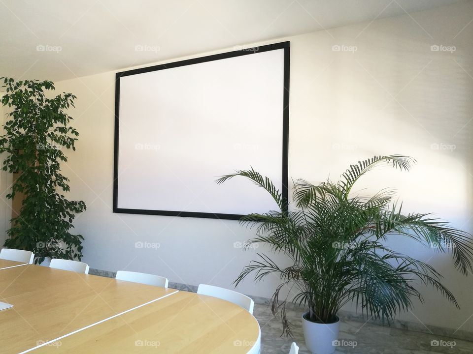 The projector screen