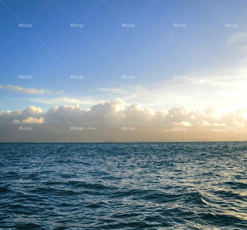 sailing the ocean blue