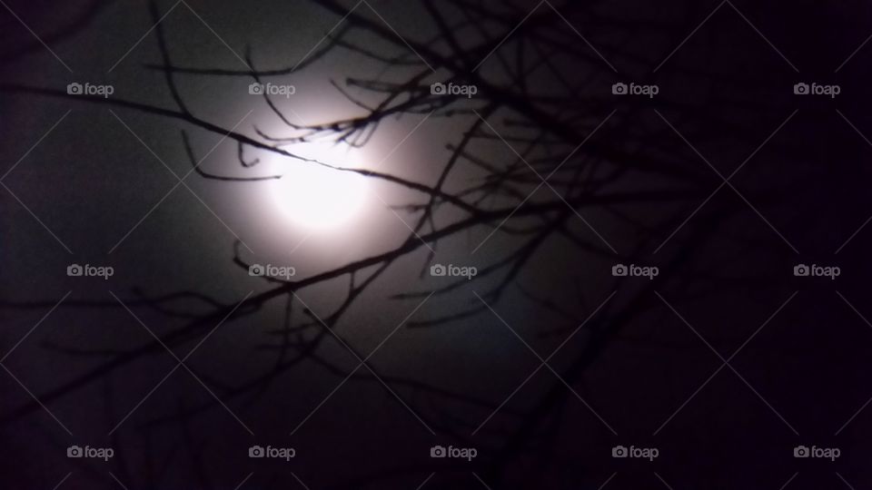 Spooky moon