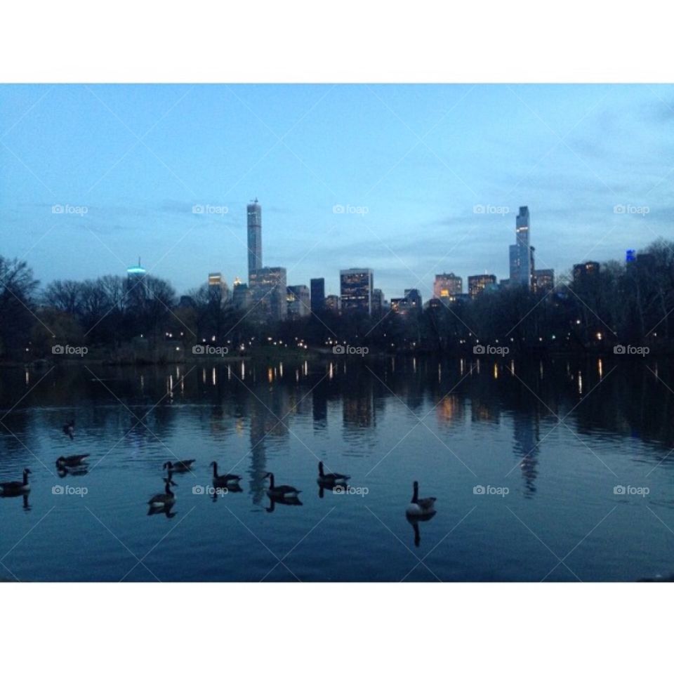took this in central park and it’s honestly my favorite shot 