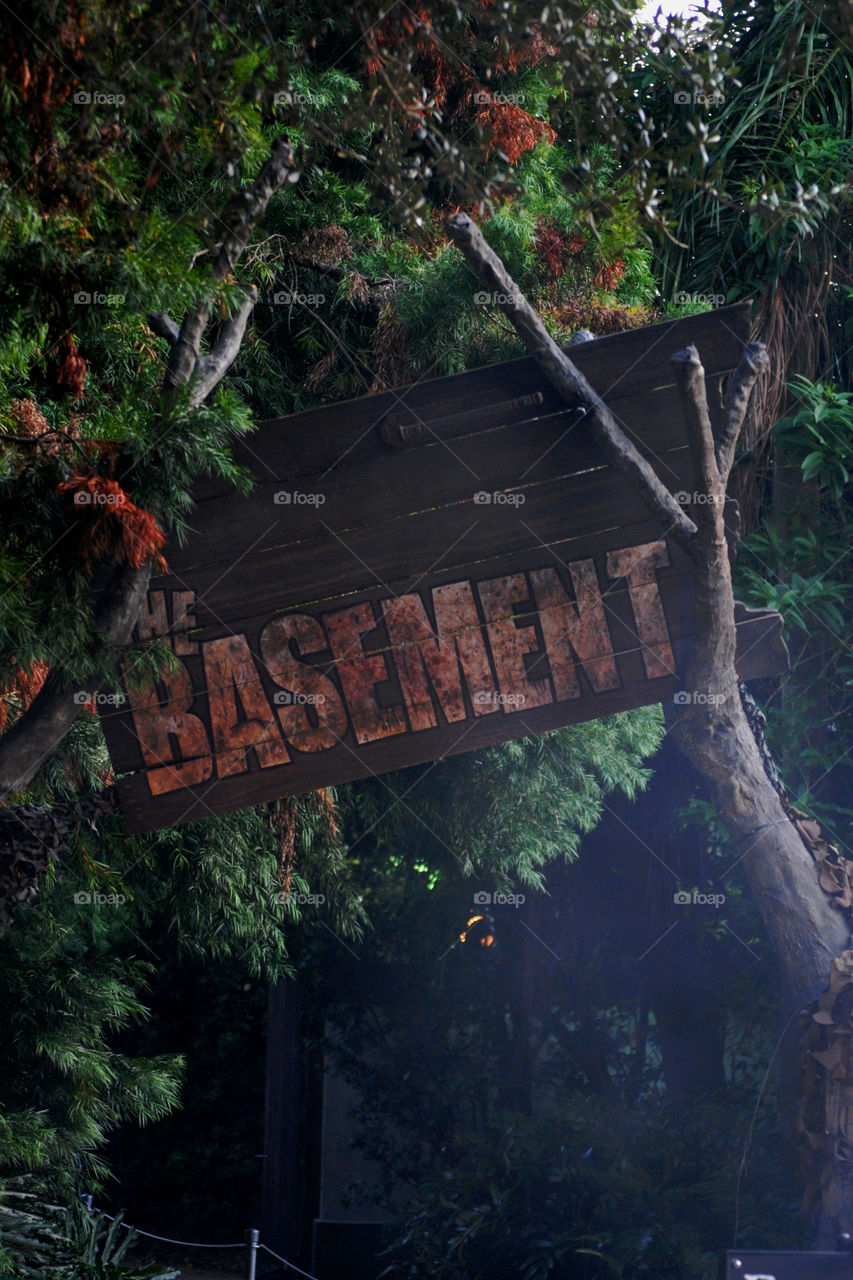 the Basement. Haunted house at Busch Gardens