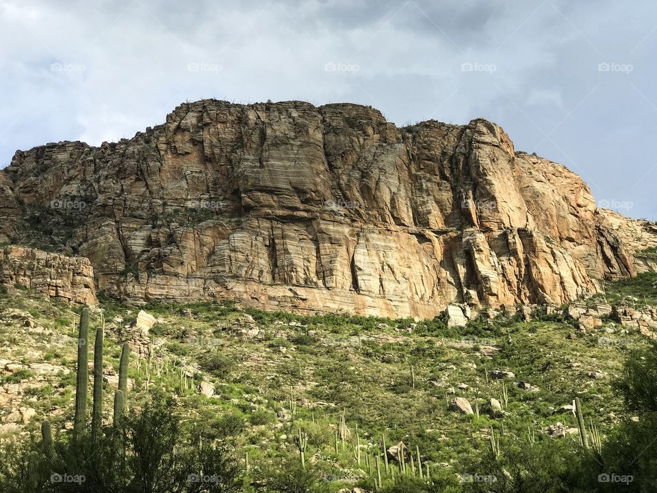 Mountain Landscape 