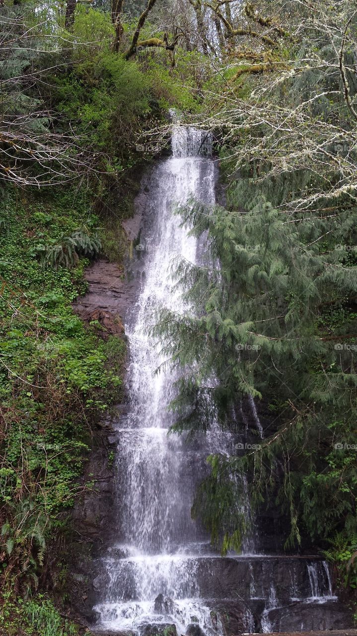 North Lower Smith River Road