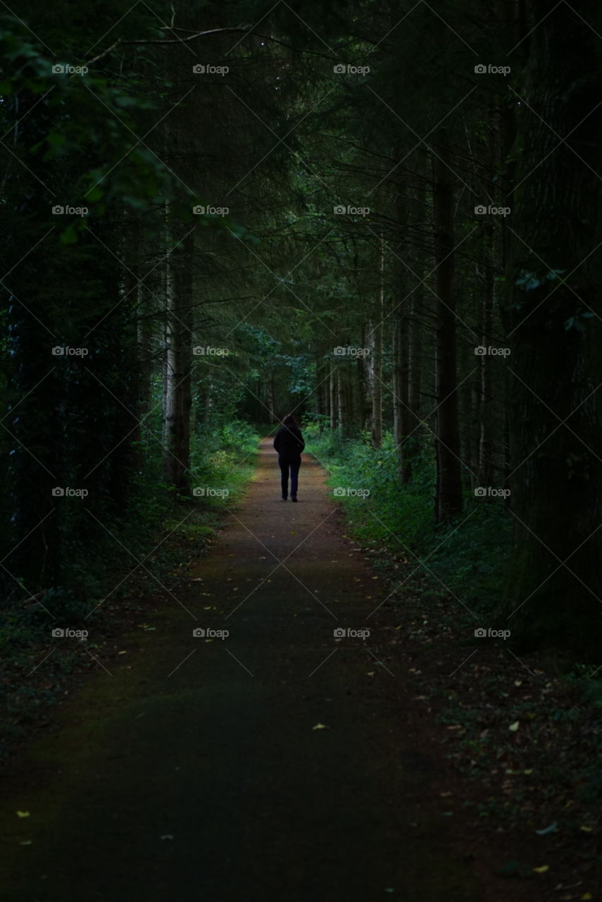 Autumn walk in Wales