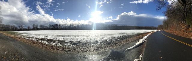 Winter