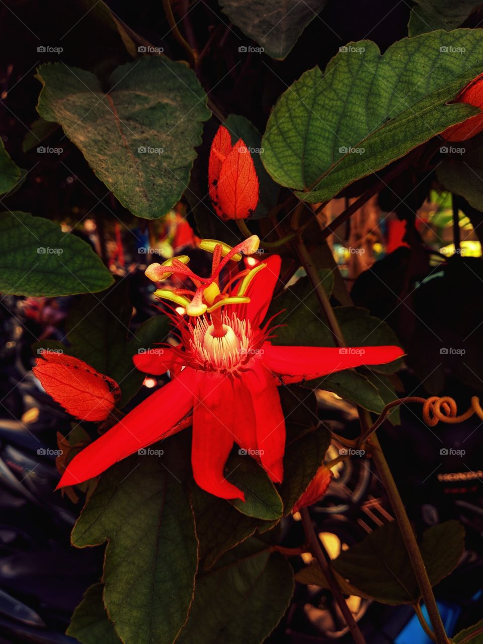 show us your best photos