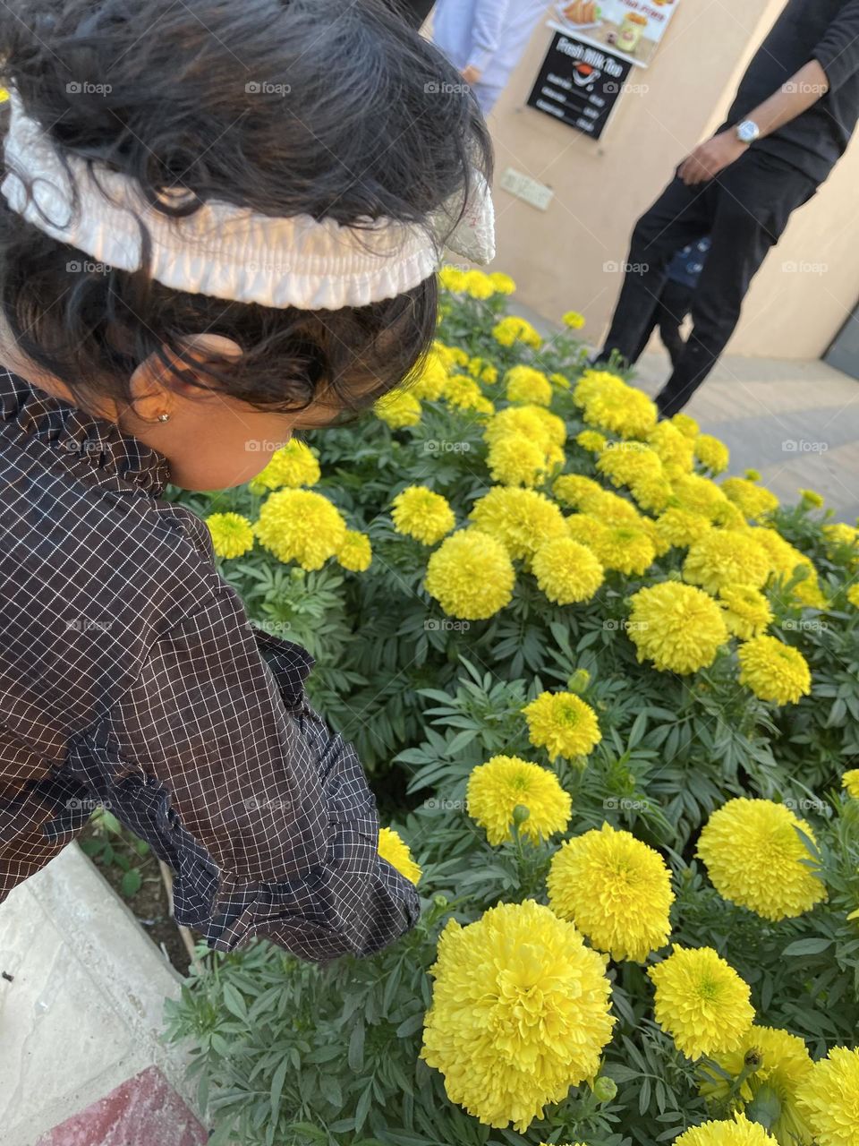 The way you look at me is like a Marigold, the more I love you, the brighter you glow.’