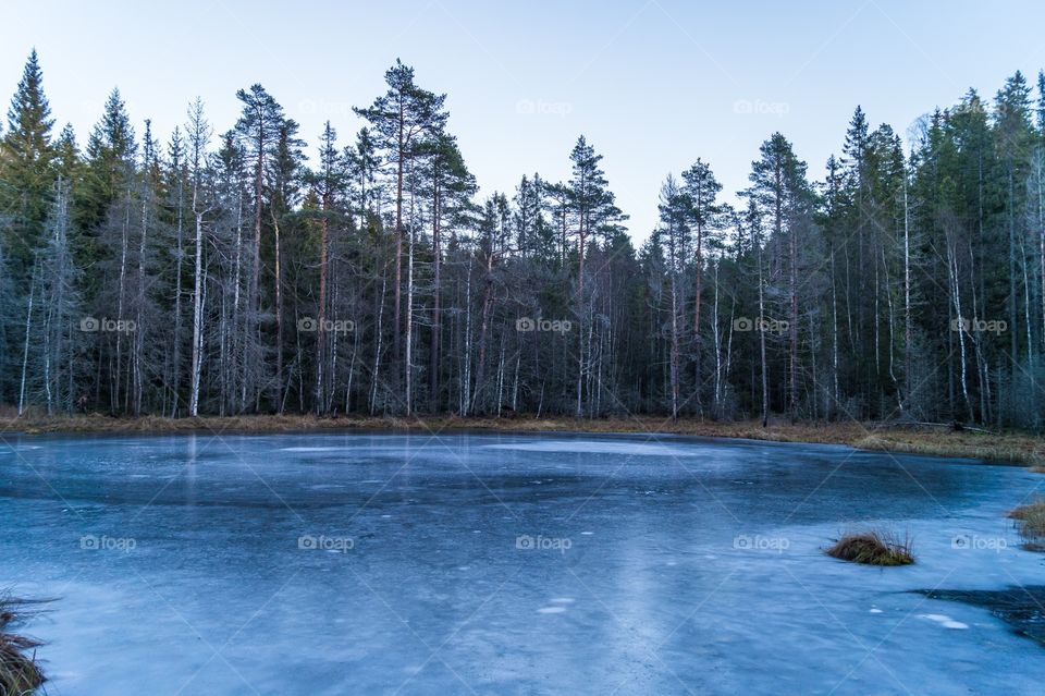 Photo from a hike in Norwegian nature. 