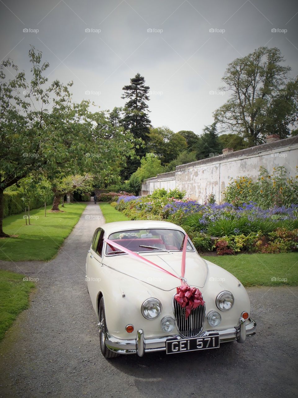 Ride of bride. In Birr castle and gardens 