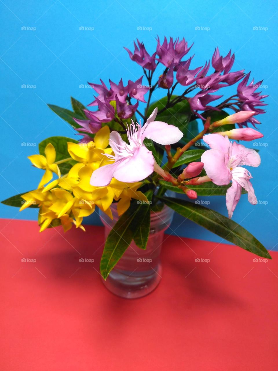 Beautiful colored flowers on vase