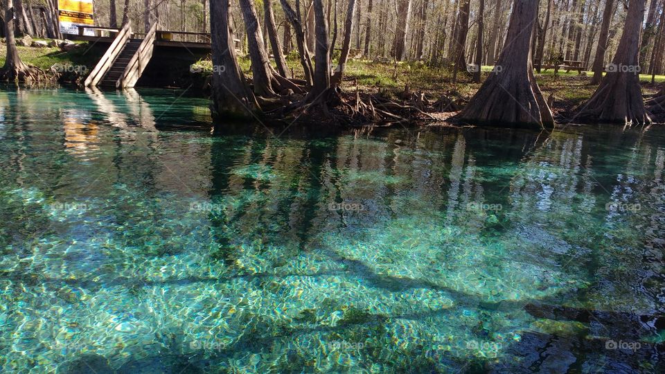 beautiful clear water in Ginnie Springs