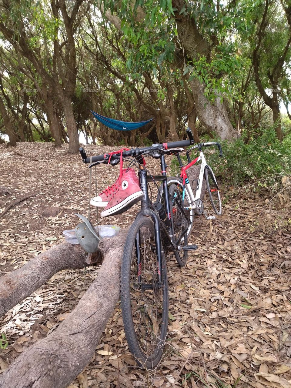 biking and picnic