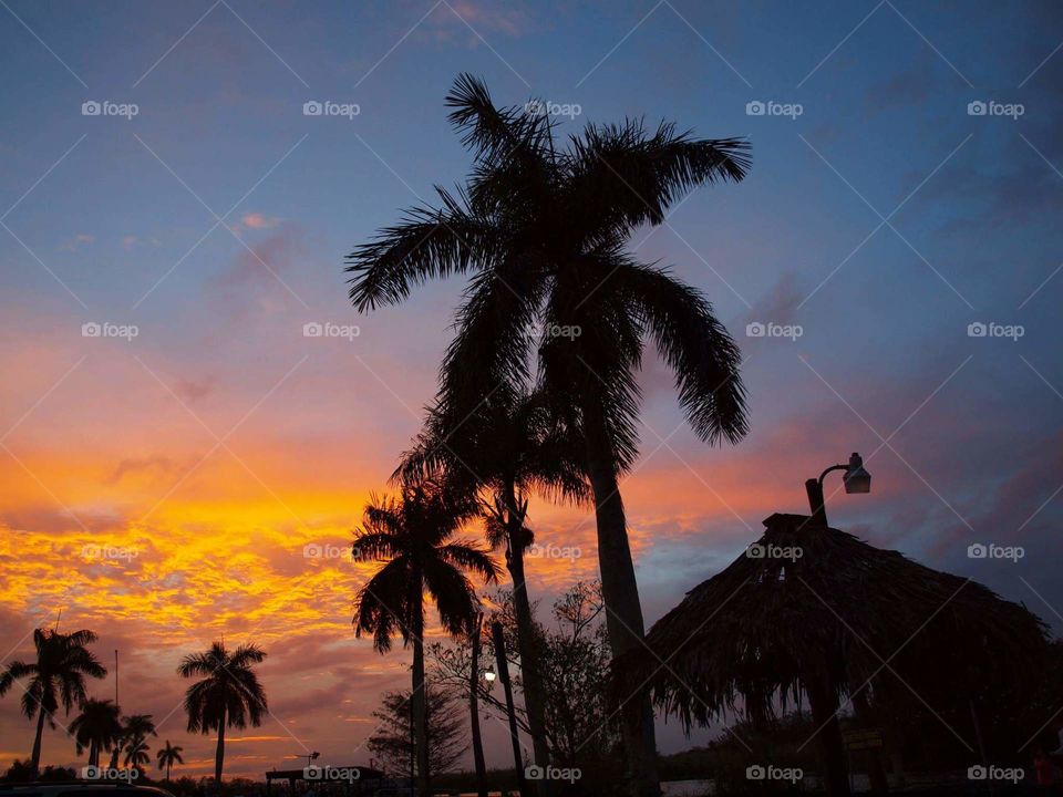Isla Morada - Florida USA. / Olympus E620