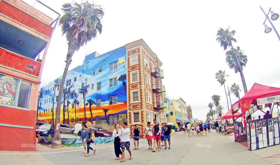 wall art mural in Venice beach